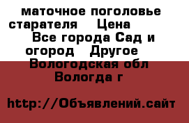 маточное поголовье старателя  › Цена ­ 3 700 - Все города Сад и огород » Другое   . Вологодская обл.,Вологда г.